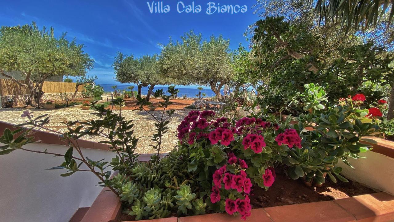 Villa Cala Bianca Castellammare del Golfo Dış mekan fotoğraf